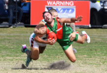 Seagulls strong to the end