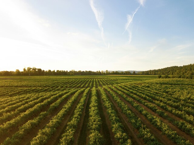 farmgen_490798_01