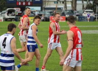 Playing-coach stars in Cats triumph