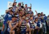 Cats win EDFL Blood-bath