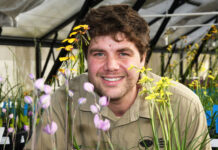 Spring in bloom at Royal Botanic Gardens Cranbourne