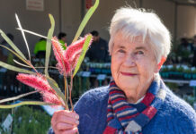 Plants galore in Berwick