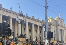 Levy not massive but timing severe, expert says