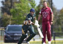 Seagulls draw first blood