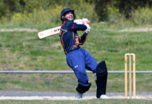 Lions off to a flying start