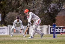 Bloods and Bears set for DDCA blockbuster