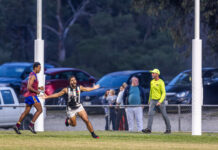 Lions welcome new faces to boost 2026 premiership quest