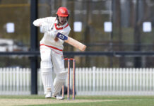 Teenaged double centurion makes his mark at Casey Fields