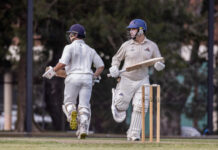 Panthers in the game against reigning premiers at stumps