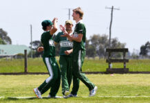 Swashbuckling Swamp Tiger performing well in WDCA