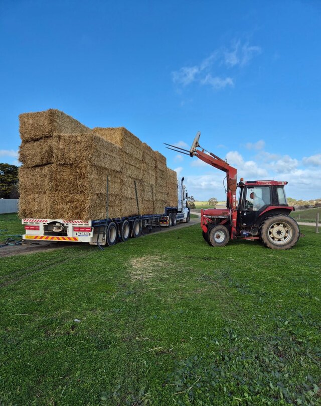 haydrop_495432_01