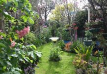 Oasis opens for a cause