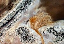 Photography club comp results to be revealed