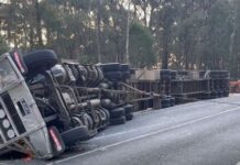 Chook truck rolls over on Pakenham Road