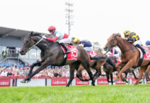 Hometown salute for Sabaj