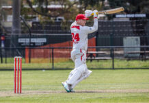 Bloods tame Tigers with deep batting performance
