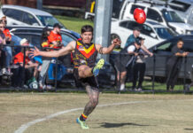 Doves unveil new recruits