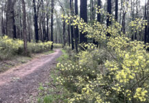 Casey Expands Environmental Volunteer Program with 10 New Reserves