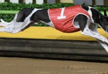 McDonald dreams of glory