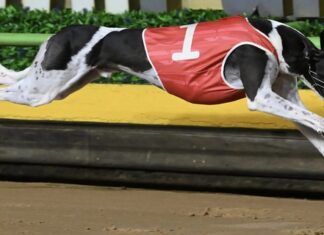 McDonald dreams of glory