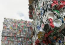 JOIN THE CYCLE: THE JOURNEY OF YOUR 10-CENT CONTAINERS