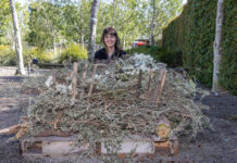 Bandicoots put to test