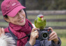 A treat of Wings and Roses
