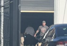 Cannabis crop found inside Cranbourne factory