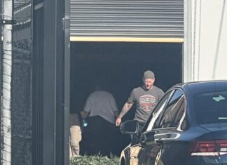 Cannabis crop found inside Cranbourne factory