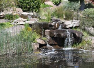Native oasis to make first public opening