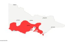 CFA warns of increased fire risk despite recent rainfall