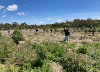 Neerim students help local wildlife