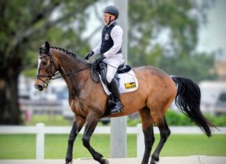 Capturing life in motion