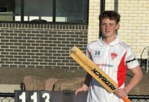 Wood posts brave century
