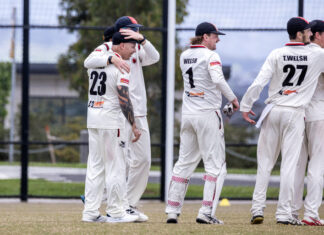 Bulls charge past Cougars