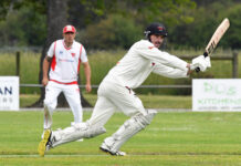 Dual centurions lift Bulls