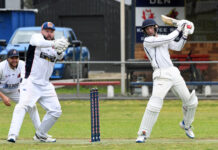 Cougars pounce on day one