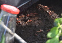 Expansion to organics facility