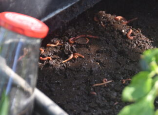 Expansion to organics facility