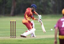 Hawks cruise into T20 finals