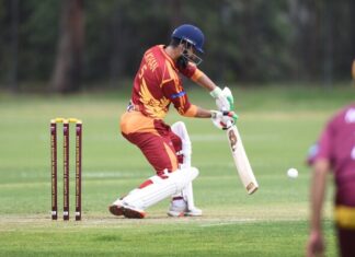 Hawks cruise into T20 finals