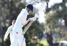 Cobras and Blues double up