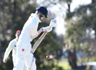 Cobras and Blues double up