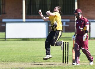 Tigers roar over Lions for important victory