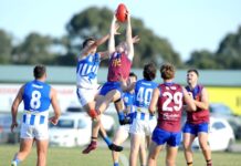 2025 In Review – Lions and Roos learn fate