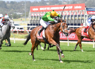 Tough as teak Taramansour