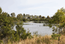 Seasonal Pest Control: Essential Measures for Berwick Residents