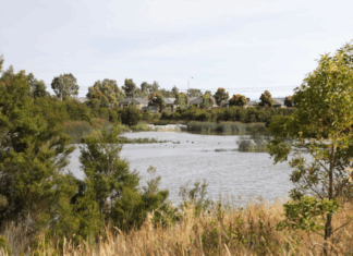 Seasonal Pest Control: Essential Measures for Berwick Residents