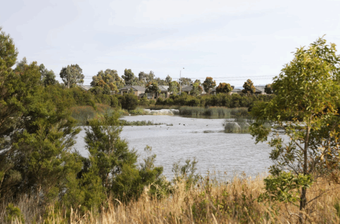 Seasonal Pest Control: Essential Measures for Berwick Residents