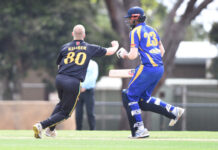 Nicest view for Noble Park